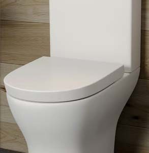 Comfort height Close couple rimless WC