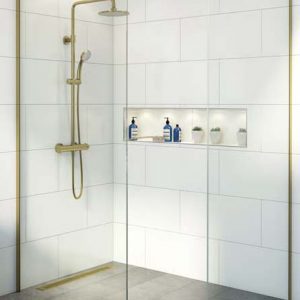 Brass wetroom screen for mobility shower