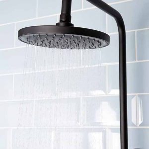 dual head ound head shower