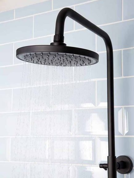 dual head ound head shower