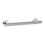 Chrome mobility grab bar for showers