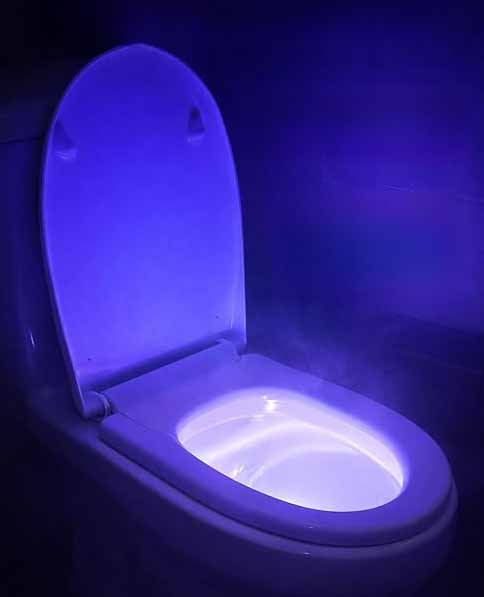 wc light