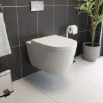 wall hung rimless toilet