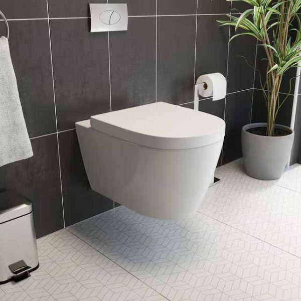 wall hung rimless toilet