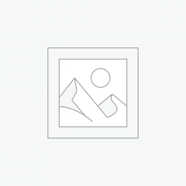 Orange Brown ladies Dress